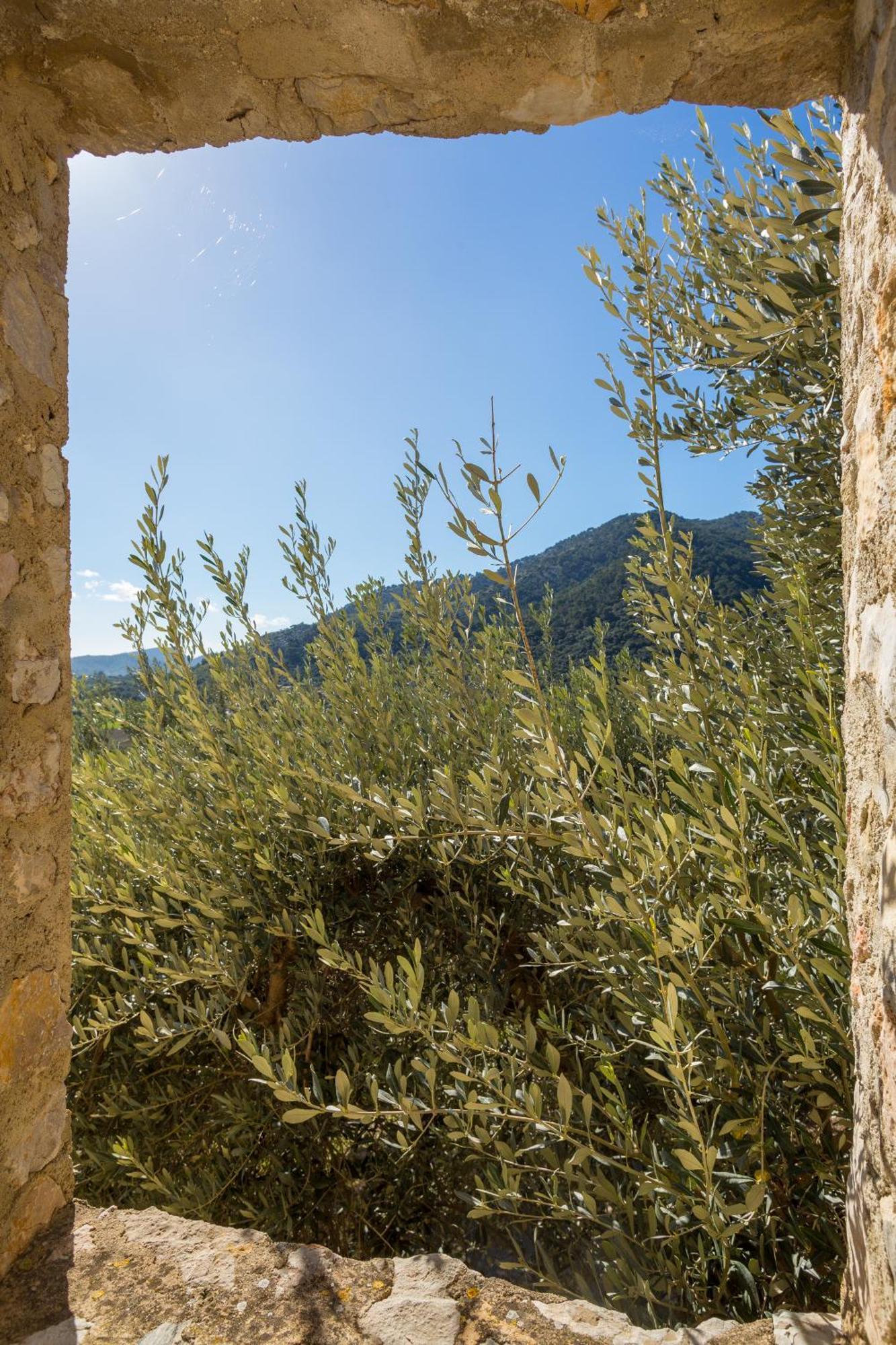 Finca Es Castell Binibona Bagian luar foto