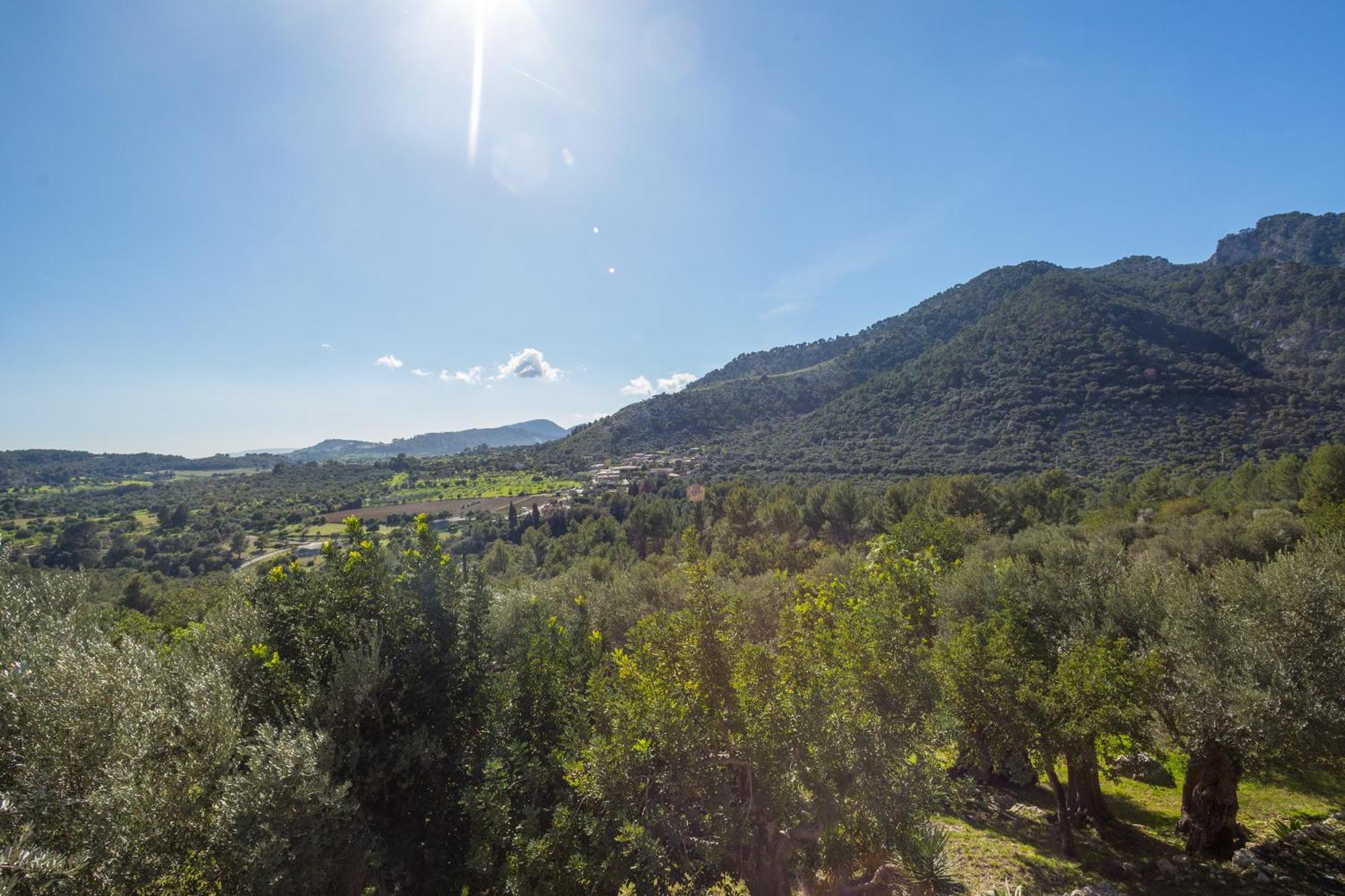 Finca Es Castell Binibona Bagian luar foto