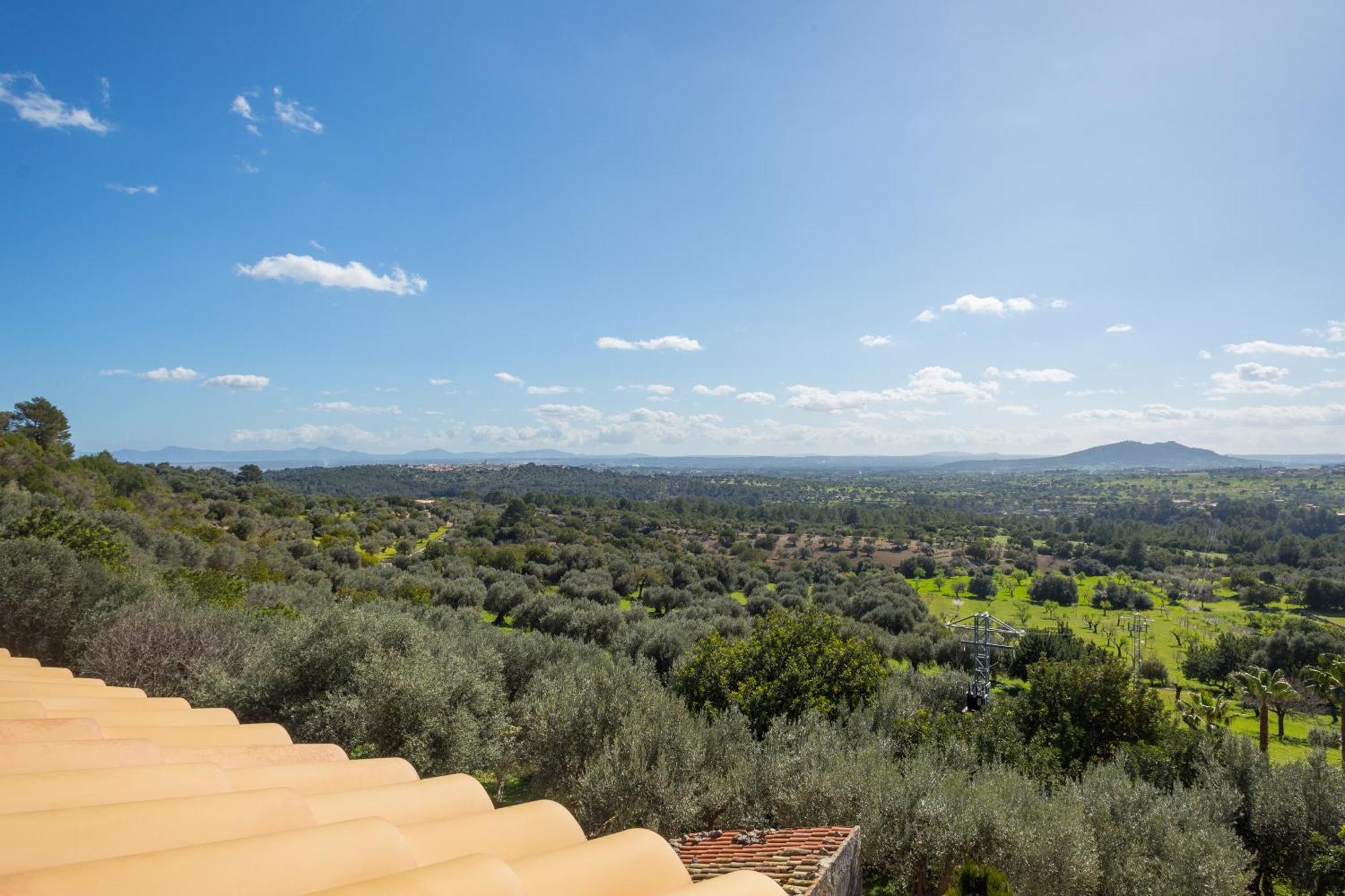 Finca Es Castell Binibona Bagian luar foto