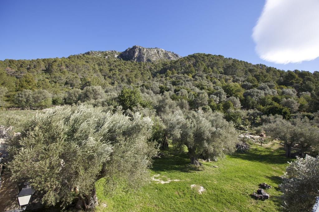 Finca Es Castell Binibona Bagian luar foto