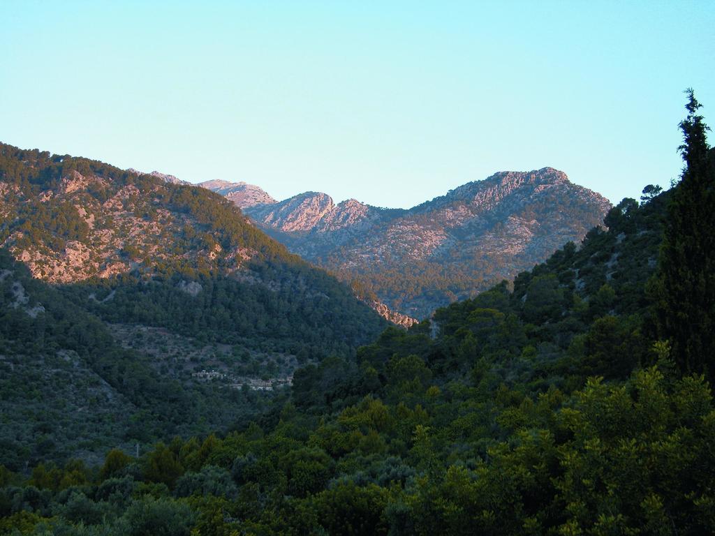 Finca Es Castell Binibona Bagian luar foto